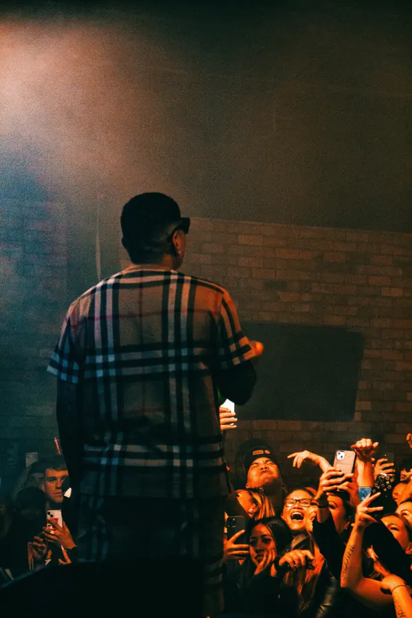 Performer seen from behind, facing a crowd of raised phones.